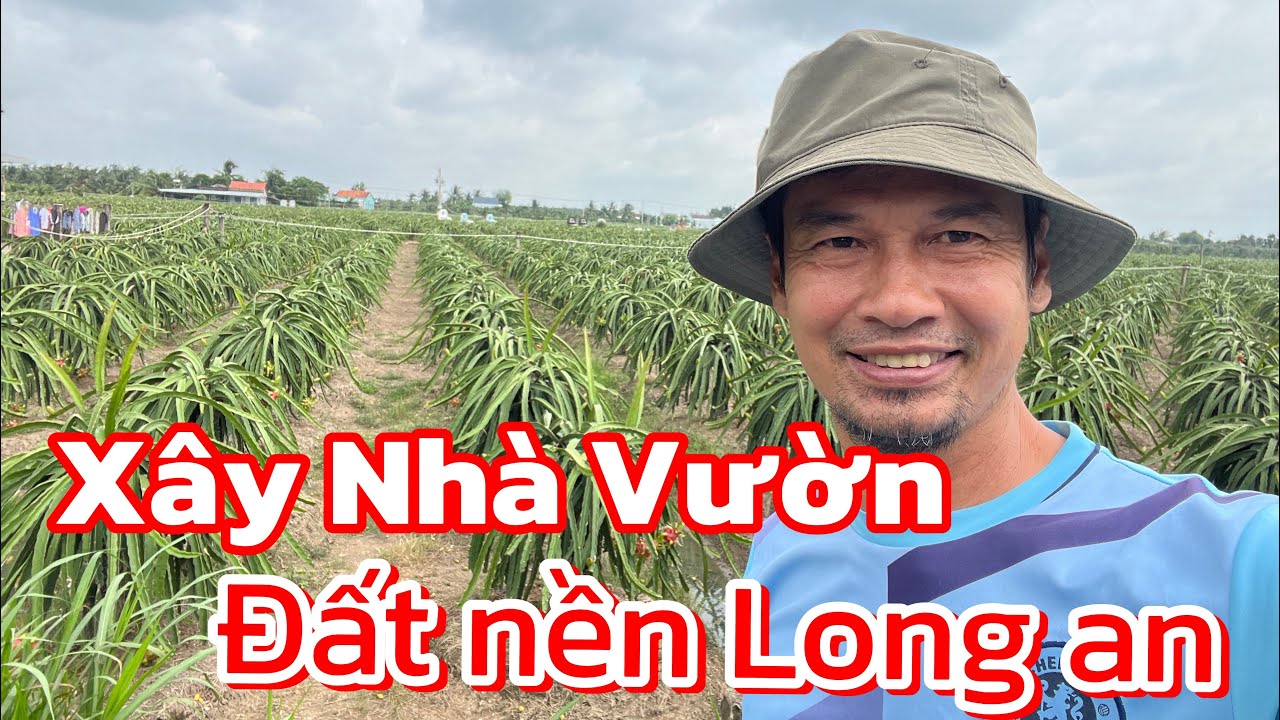 Ba nền đất Tân an - Long An (cũ) giá từ 1,5 tỷ đến hơn 2 tỷ mặt tiền đường chuẩn làm nhà vườn !