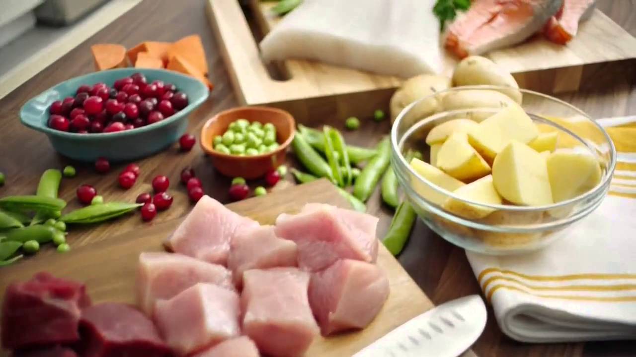 Amy Russ in Nutrish Commercial