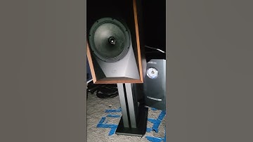 MoFi Sourcepoint 10 Loudspeaker With Authentic Audio Images Cable Line!