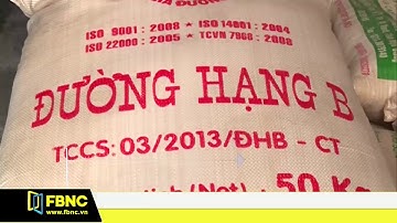 Ngành mía đường trong nước tiếp tục bị cạnh tranh | FBNC