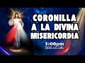 🕒 Reflexión de las 3PM + Coronilla de la Divina Misericordia | Hora Santa de Misericordia
