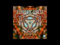 Flyagaric Forest – Nature Of Things (Full Album 2018)