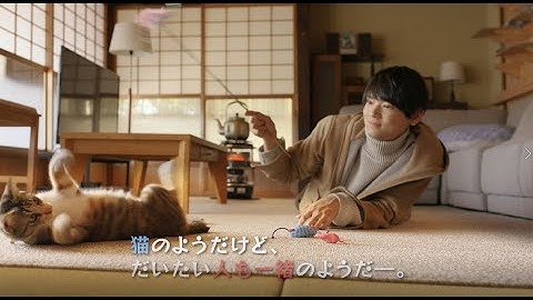 映画『劇場版 ねこ物件』ショート予告 猫もイケメンに癒される篇