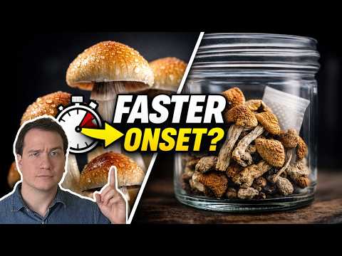 Fresh vs Dried Psilocybin Mushrooms: What the Chemistry Shows