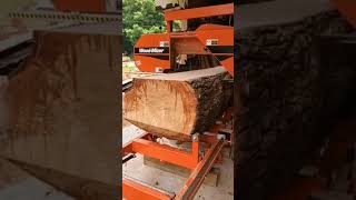 Big White Pine on Wood-Mizer LT15