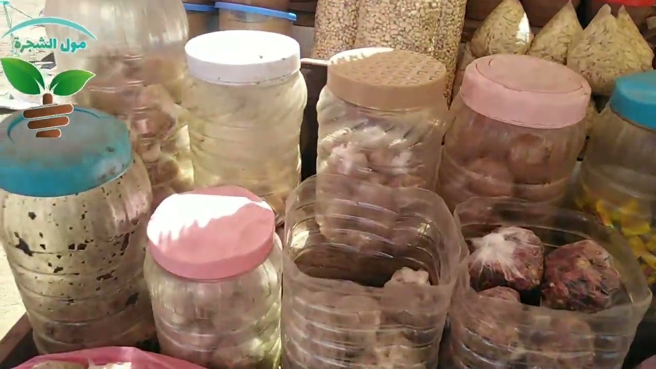 مباشرة من الدار البيضاء