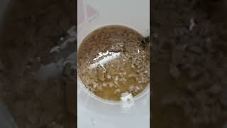 Auto siphons Do More Than You Think