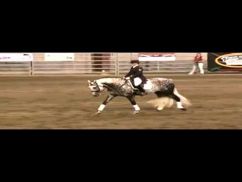 Mystique's Manolete and Olympic rider Leslie Reid 2010 Musical Freestyle Ride