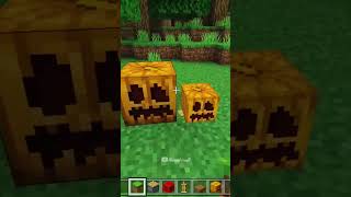 Minecraft: Mini pumpkin build hack...🎃 #shorts #youtubeshorts