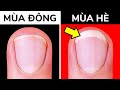 Đến Giáo Viên Sinh Học Của Tôi Cũng Không Biết 41 Sự Thật Về Cơ Thể Người Này