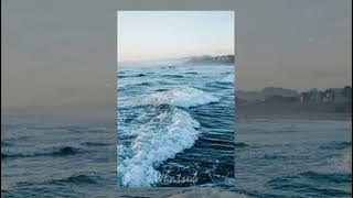 Download lagu 〈Cá Voi 52 Hz〉the 52 hertz whale 🐋𝕝 𝚜𝚞𝚋𝚕𝚒𝚖𝚒𝚗𝚊𝚕 𝐖𝐒