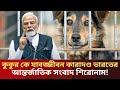 ইজরায়েলে হুথিদের রকেট হা"মলা | আন্তর্জাতিক সংবাদ শিরোনাম | world news | the legend news 