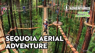 Sequoia Aerial Adventure