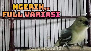 Sirtu gacor full variasi sangat cocok untuk mendongkrak emosi sirtu macet bunyi.