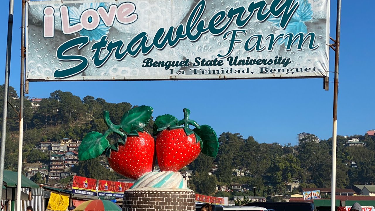 Strawberry Farm Baguio City YouTube