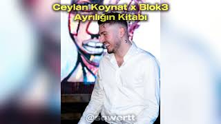 Ceylan Koynat X Blok3 - Ayrılığın Kitabı (Mix)