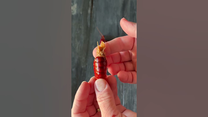 How to eat a crawfish