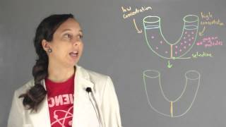 Important Concepts of Osmosis : Chemistry Lessons