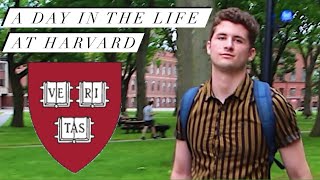 A Day in the Life of a Harvard Law Student