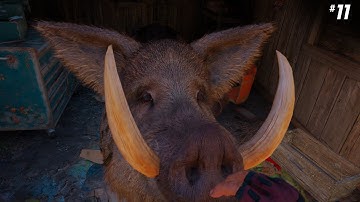 FAR CRY - NEW DAWN Walkthrough Gameplay Part - 11 1440p (2k 60fps)