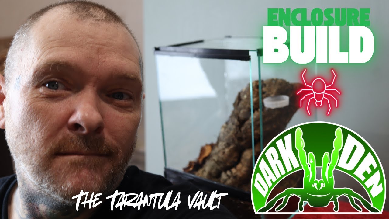 Building a Tarantula Enclosure from The Dark Den (Honest Review & Setup) 🕷️