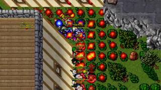 Tibia War RadwaK