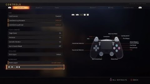 PRESTIGE MASTER!!! - Stats,Settings,Classes - Call Of Duty Black Ops 4