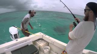 Barracuda Fishing, Belize