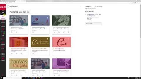 Introduction: What is Canvas?