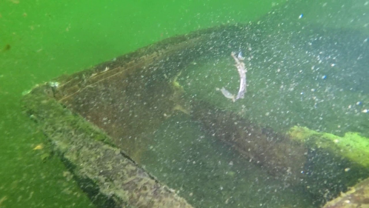 A264 Robinson Bay (1)