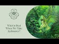 What is Real When We Take Ayahuasca?