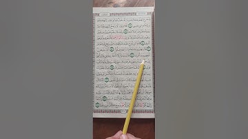 سورة طه من آية (٨٨) إلى آية (٩٨) ص٣١٨