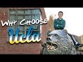 Why UCLA is the BEST College Ever!