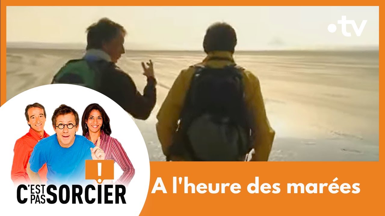 A l'heure des marées - C'est pas sorcier [Intégrale]