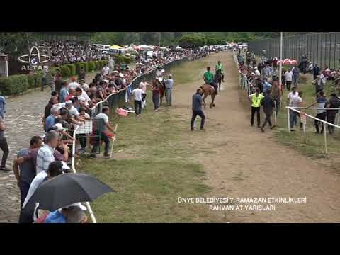 ÜNYE BELEDİYESİ 7. RAMAZAN ETKİNLİKLERİ RAHVAN AT YARIŞI - 17.06.2018