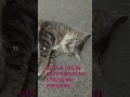 #nice #helpmemakethismakesense #reaction
