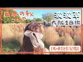 【大阪近郊】萬博紀念公園x波波草｜￼Osaka travel vlog - Kokia in Expo Park コキア🌾