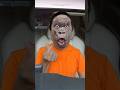Sagawa1gou funny video 😂😂😂 | SAGAWA Best TikTok 2026 #shorts