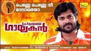 പെണ്ണേ പെണ്ണേ നീ | Penne Penne | Super Hit Romantic Album Song |  | Pranaya Gayakan | Shafi