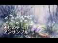 【1/fゆらぎ】自律神経を整える穏やかな時間 - 春を待つ庭の風景 | Calming Music for Autonomic Nerves, Waiting for Spring