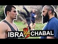 IBRA vs CHABAL