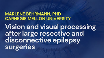 Vision And Visual Processing • Marlene Behrmann, PhD