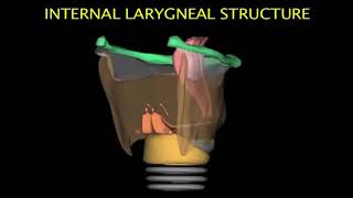 Larynx Animation screenshot 3