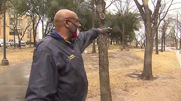 DART Riders Frozen Out Of Train Service For The Second Time In 2 Weeks