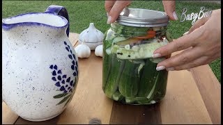 Easiest Half-Sour Dill Pickles✶Малосольные Огурчики✶Az-Duzlu Molokan Xiyarı (Ep 16)