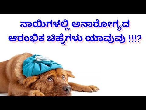 ನಾಯಿಗಳಲ್ಲಿ ಅನಾರೋಗ್ಯದ ಆರಂಭಿಕ ಚಿಹ್ನೆಗಳು ಯಾವುವು !!!?