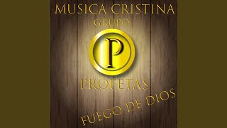 Video thumbnail of "Grupo Profetas - Solo en Ti"
