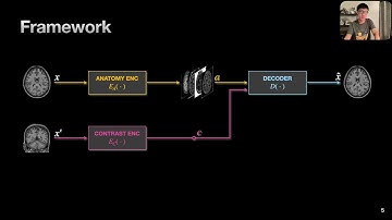 Disentangling from A Single MR Modality | MICCAI 2022