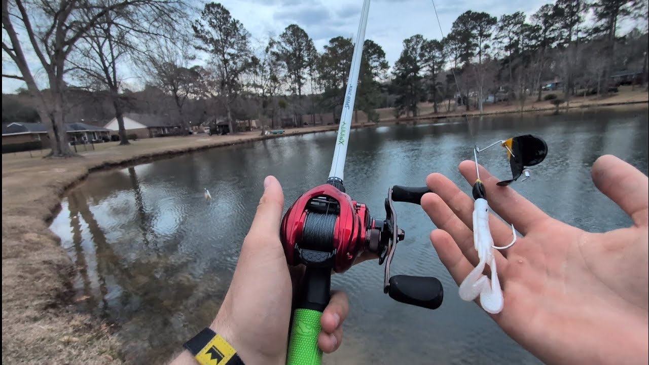 Bank fishing with a buzzbait! (spring bass fishing)
