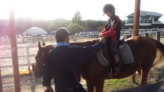 かねくん 愛知牧場で乗馬体験